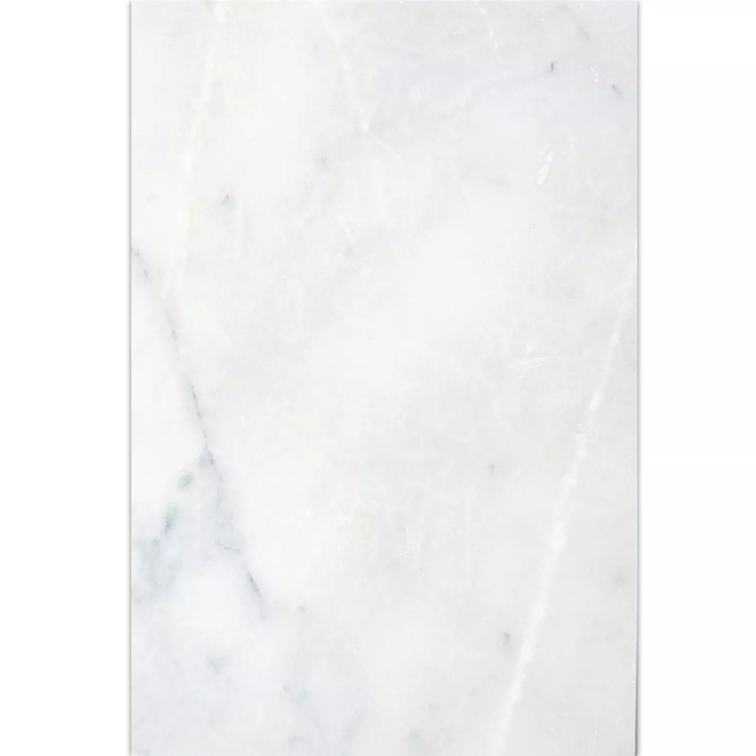 Pločice Od Prirodnog Kamena Mramor Treviso Bijela 40,6x61cm