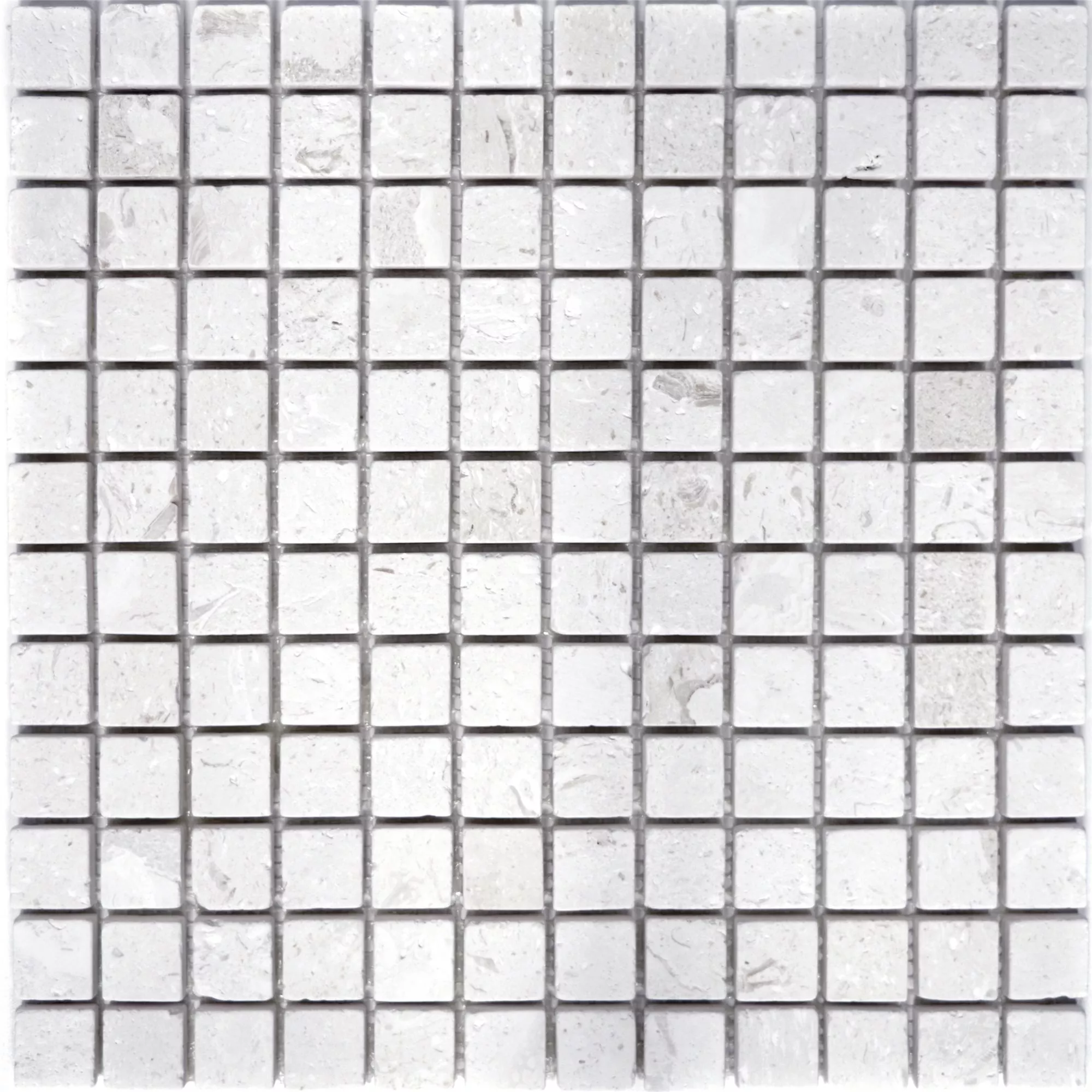 Uzorak Mozaik Pločice Vapnenac Allerona Bijela 23