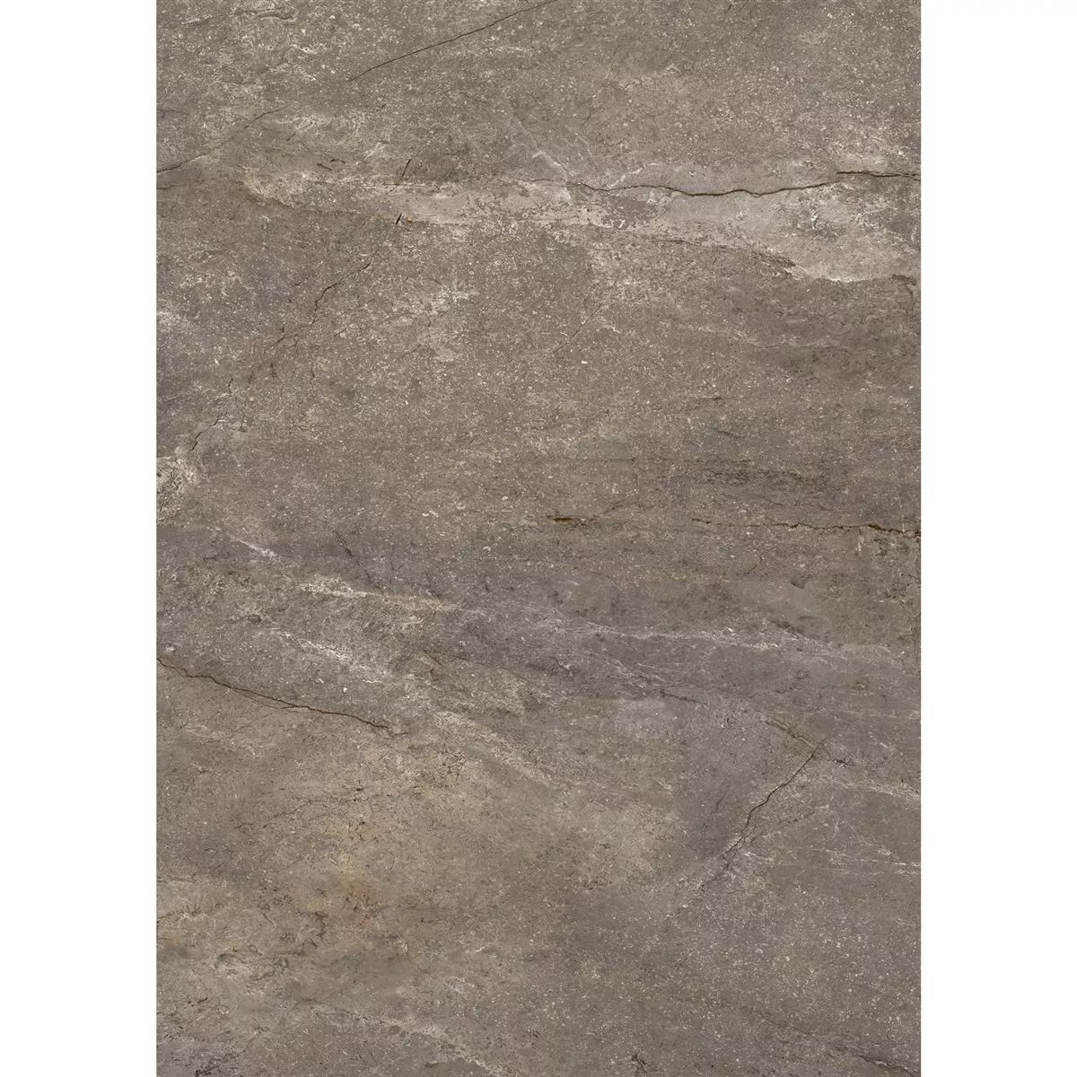 Podne Pločice Pangea Imitacija Mramora Mat Mokka 60x120cm