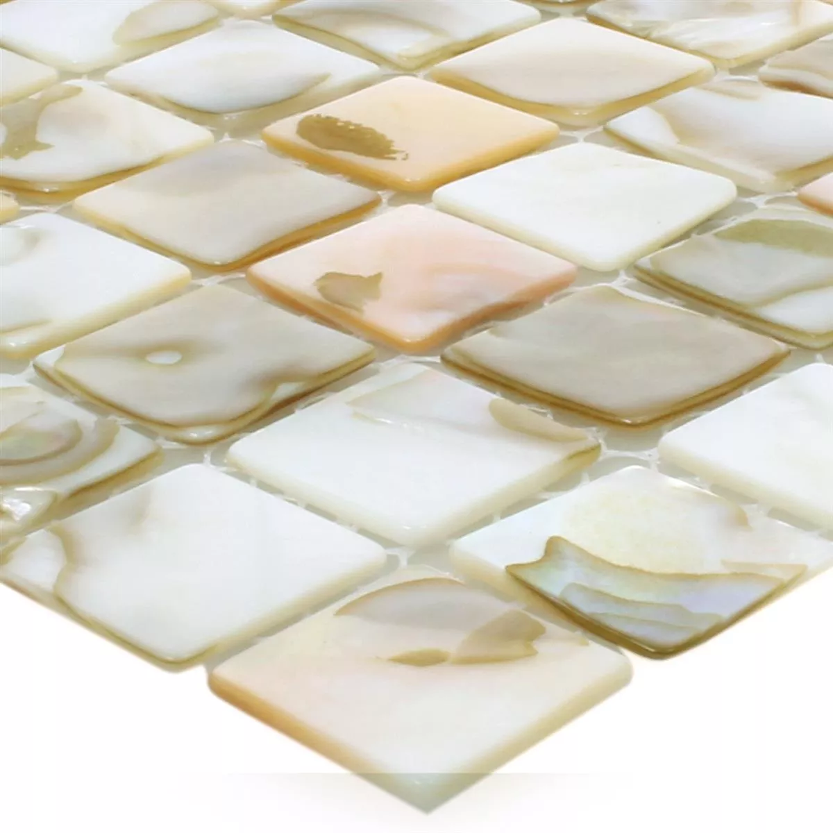 Mozaik Pločice Školjka Kordon Svjetlobež