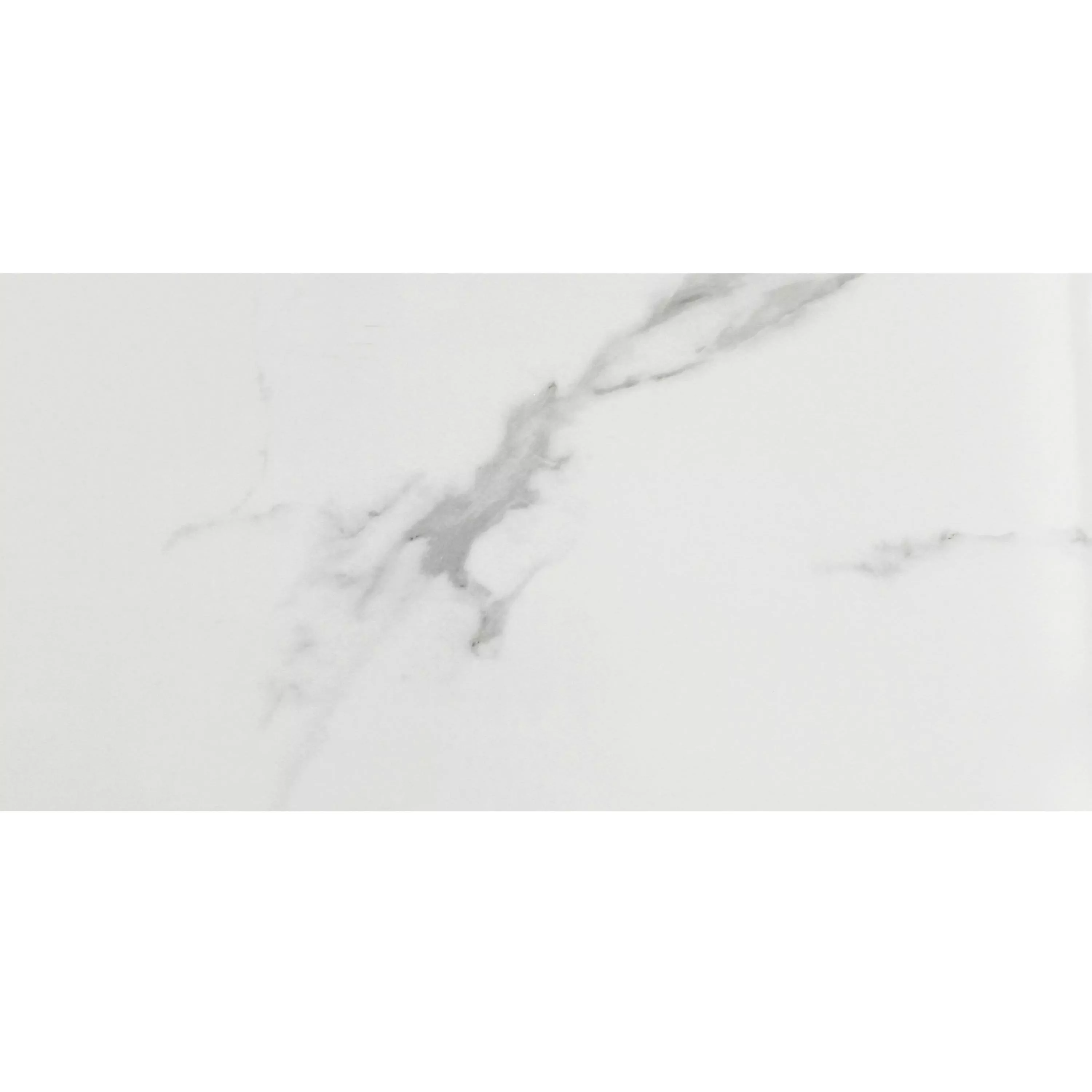 Podna Pločica Aronia Carrara Poliran 30x60cm
