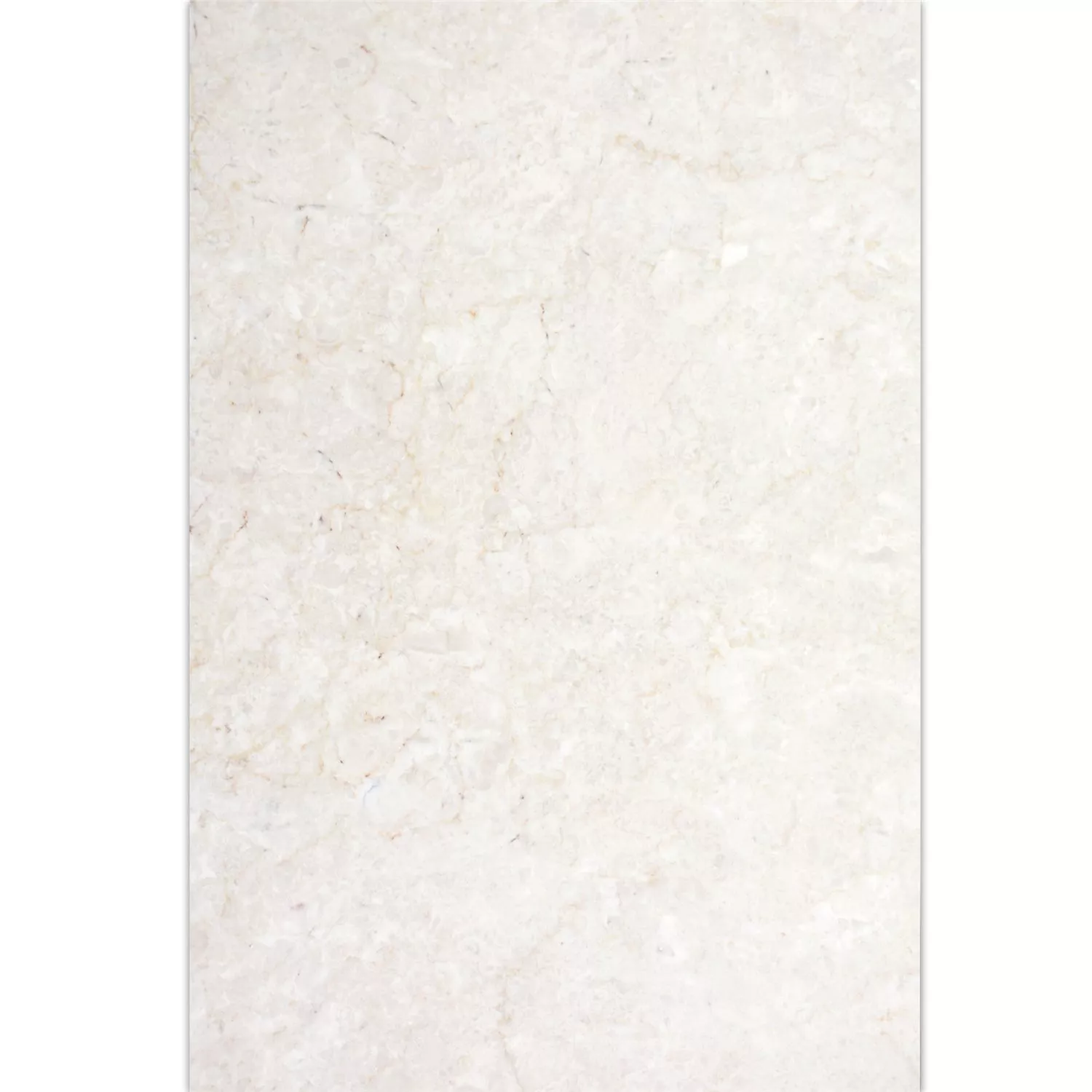 Pločice Od Prirodnog Kamena Mramor Afyon Bež 40,6x61cm