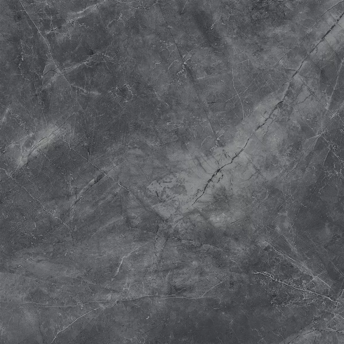 Angola Poliran Crna 60x60 cm