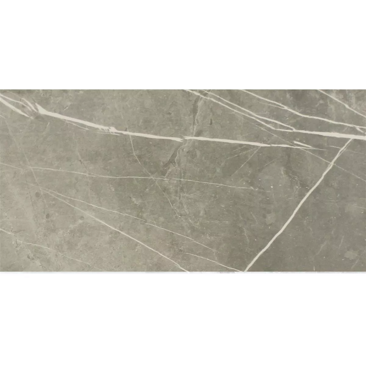 Podne Pločice Astara Imitacija Prirodnog Kamena Poliran Grey 30x60cm