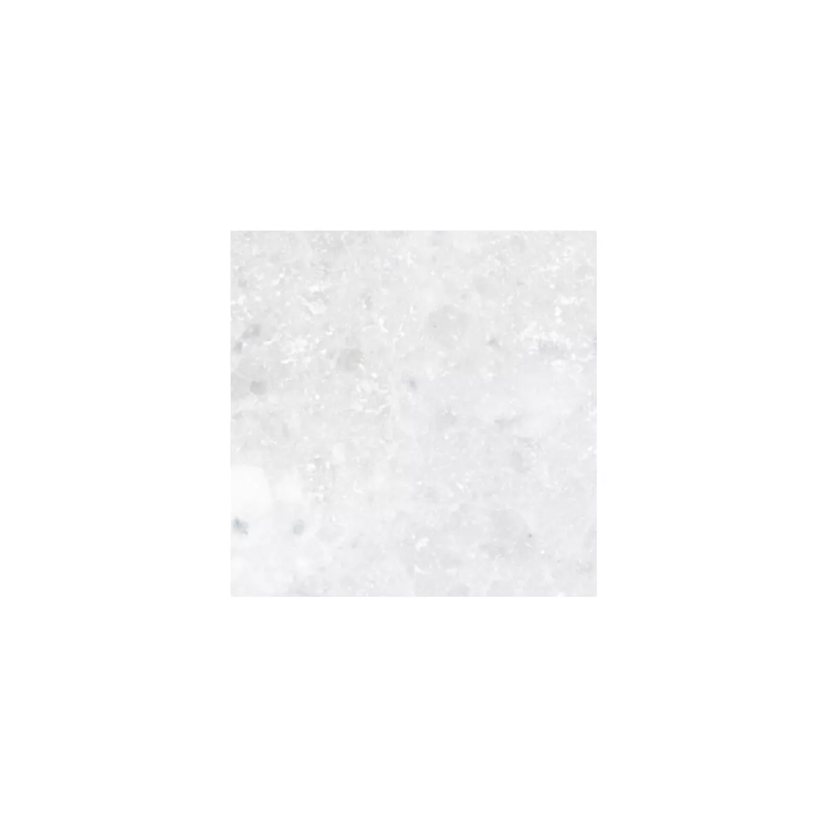 Uzorak Pločice Od Prirodnog Kamena Mramor Treviso Bijela 10x10cm