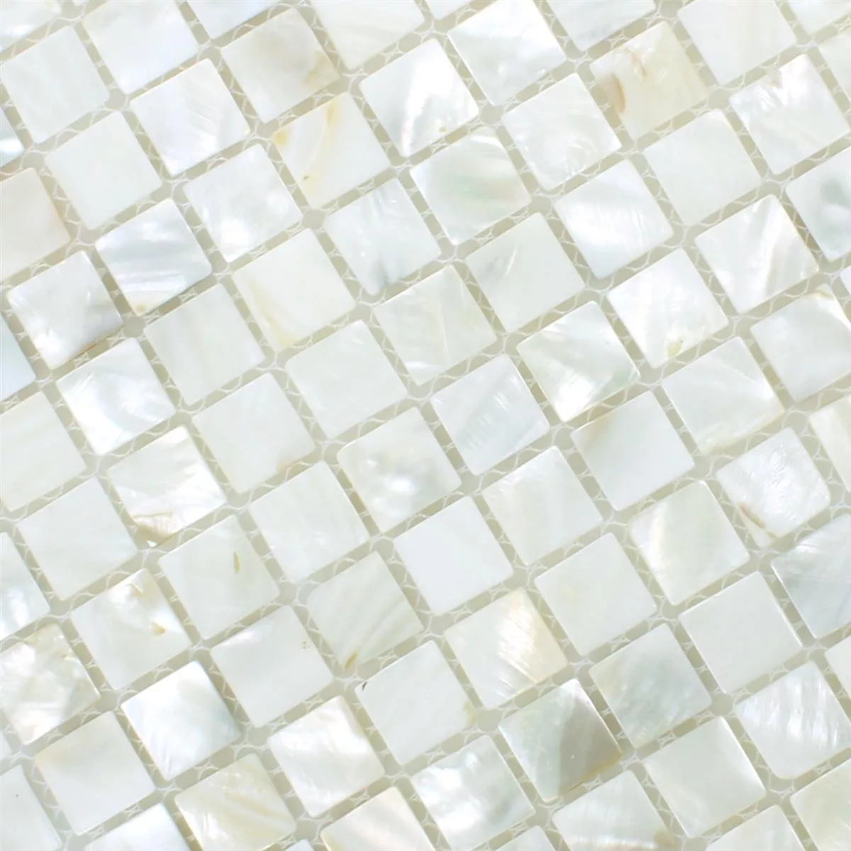 Mozaik Pločice Školjka Kordon Bijela