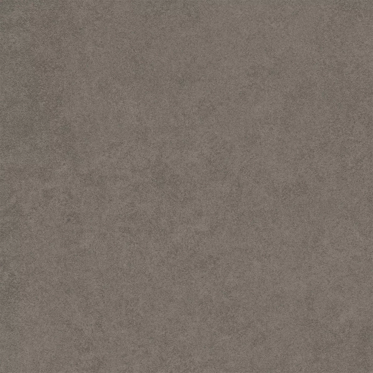 Kolossal Tamnosiva 60x60 cm