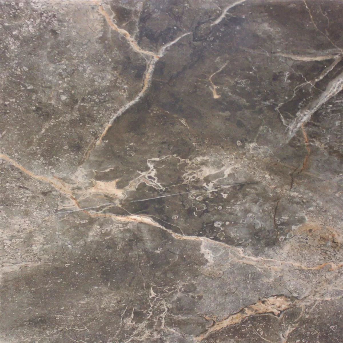 Podne Pločice Imitacija Mramora Himalaya Smeđa Poliran 60x60cm Podne Pločice Imitacija Mramora Himalaya Smeđa Poliran 60x60cm