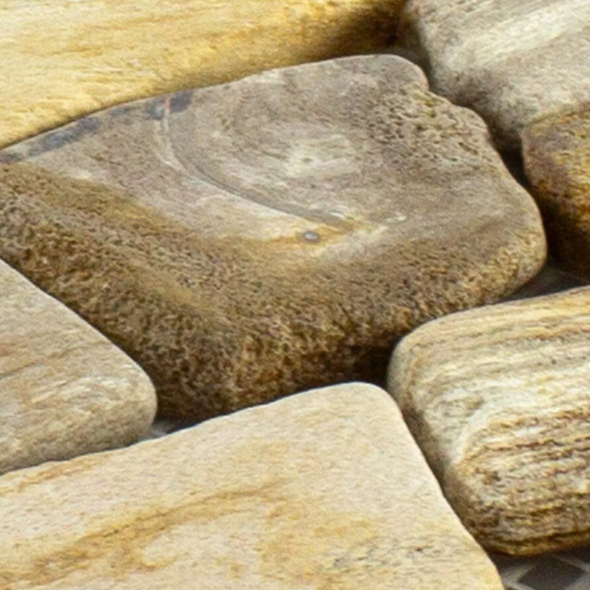 Uzorak Lomljeni Mramor Mozaik Pločice Erdenet Smeđa Bež