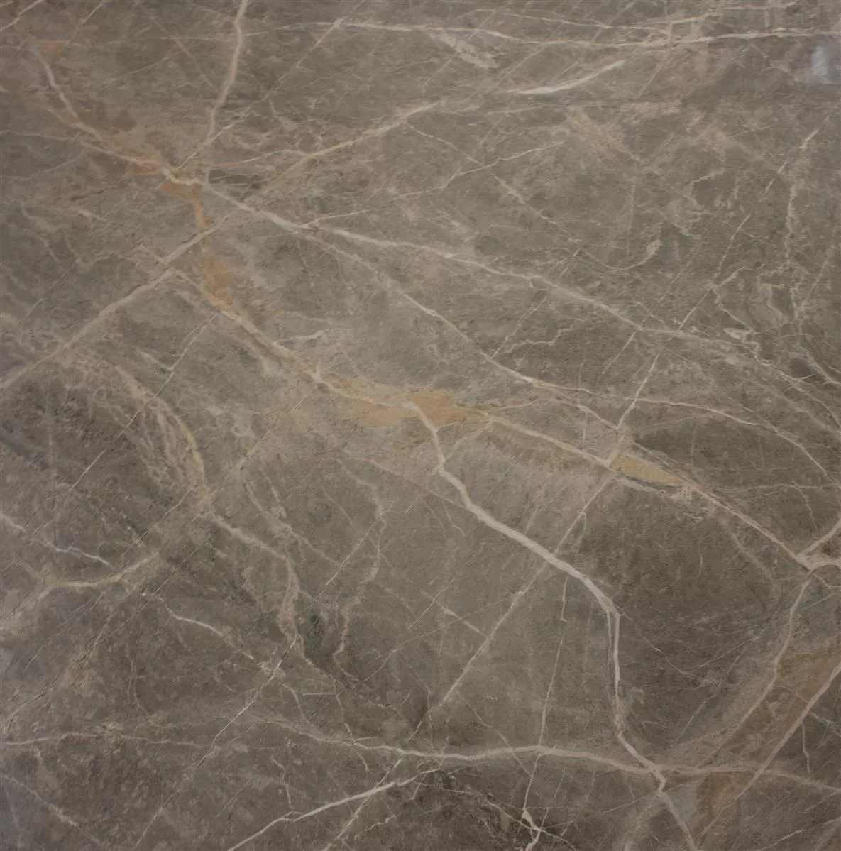 Podna Pločica Zeven Siva Bež Zlatna Optičar Škriljevca 60x60cm Podna Pločica Zeven Siva Bež Zlatna Optičar Škriljevca 60x60cm