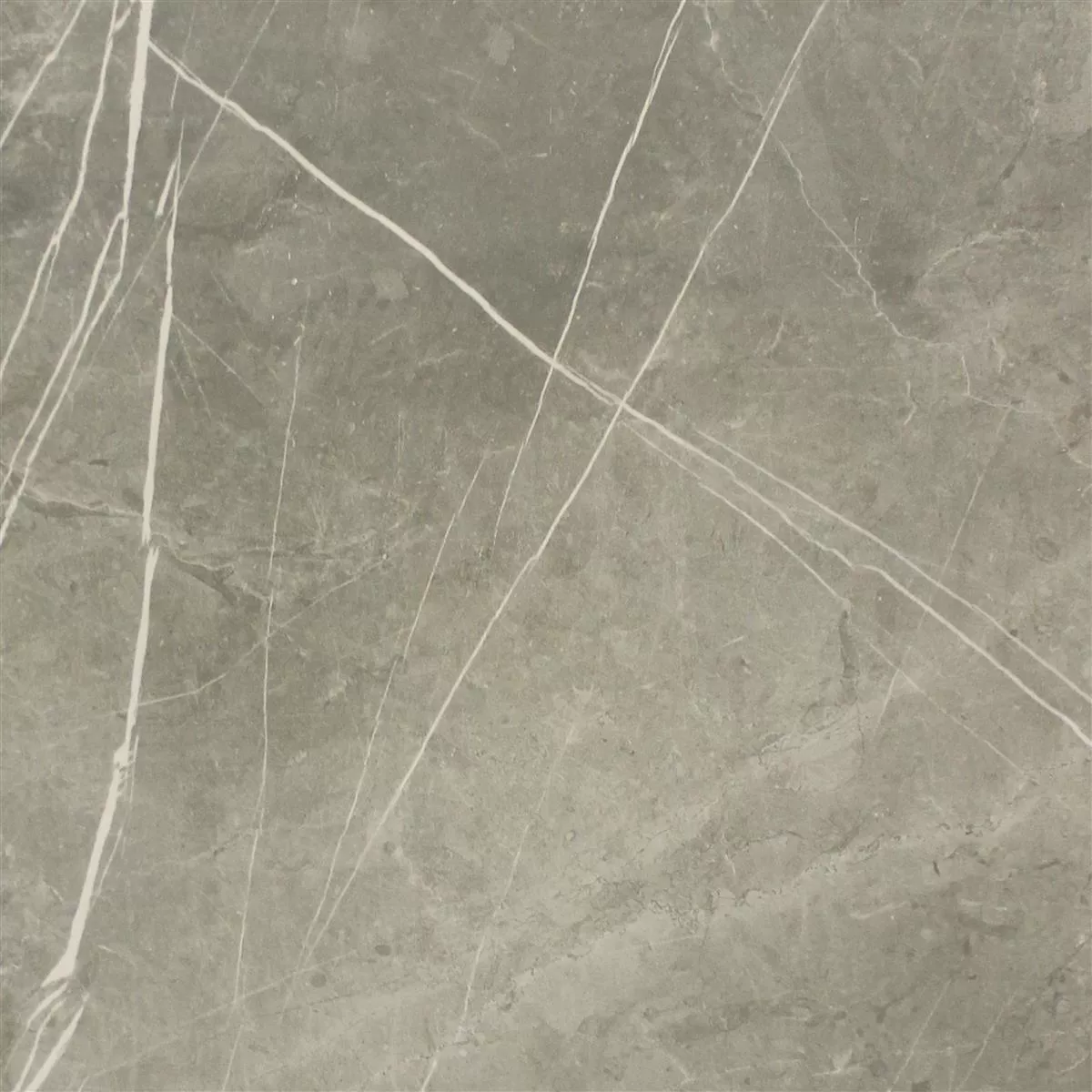 Podne Pločice Astara Imitacija Prirodnog Kamena Poliran Grey 60x60cm