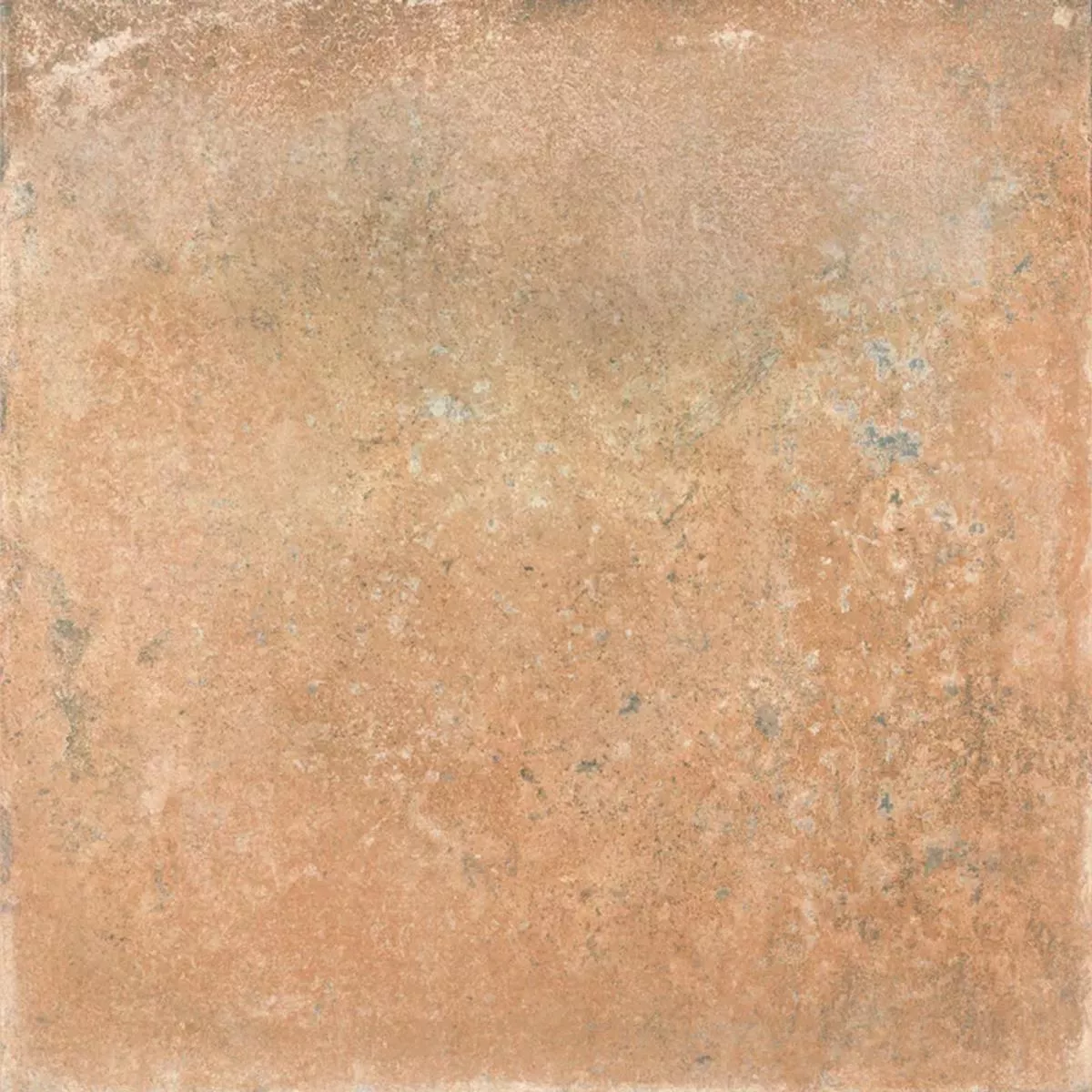 Queens Terakota Smeđa 25x25 cm