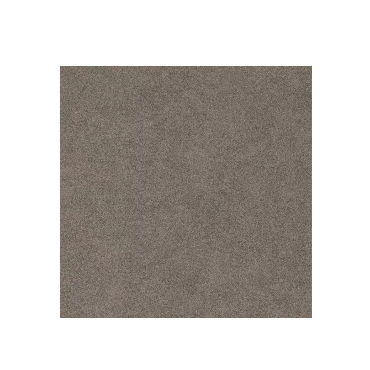 Kolossal Tamnosiva 30x30 cm