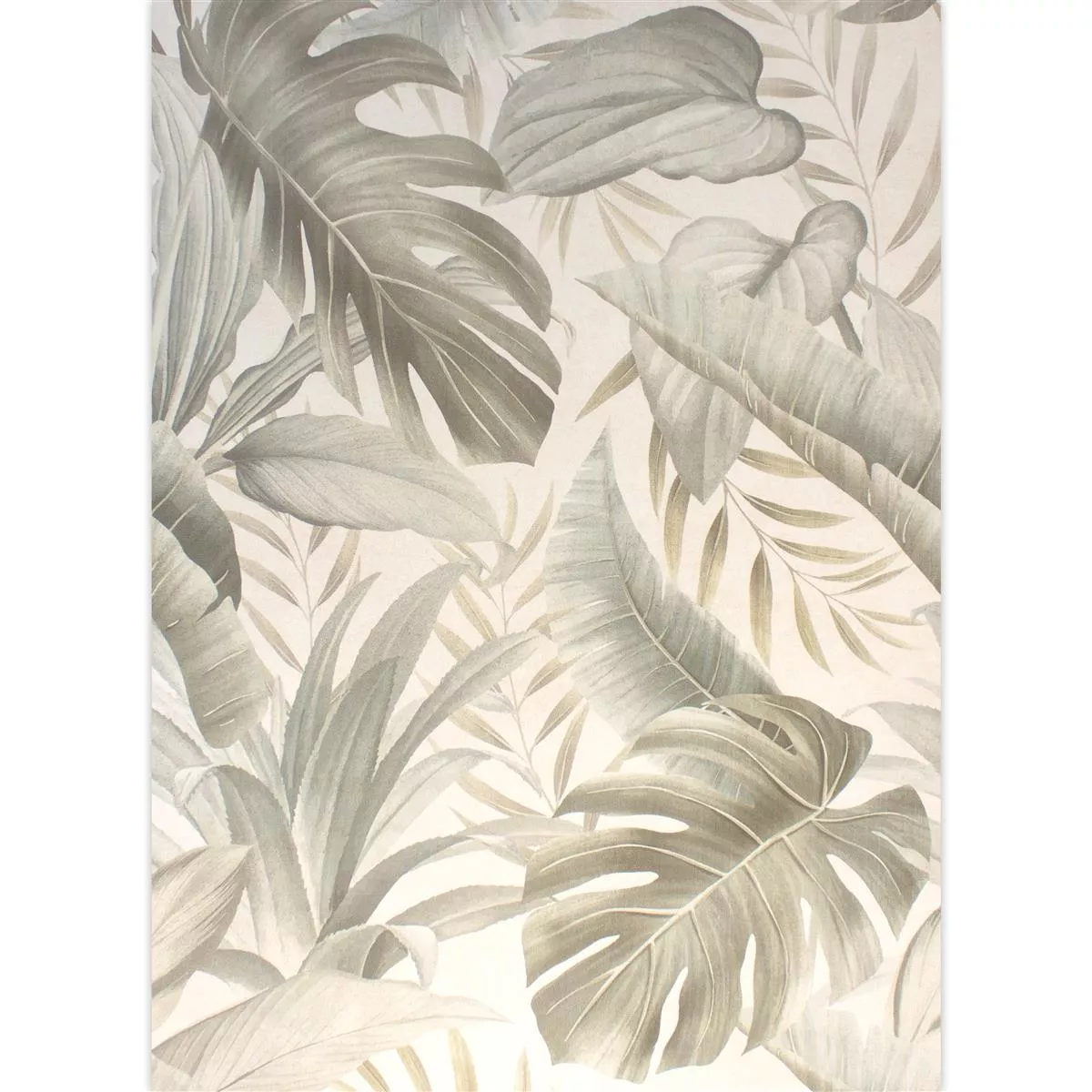 Zidne Pločice Honolulu Floral 60x120cm Bjelokost