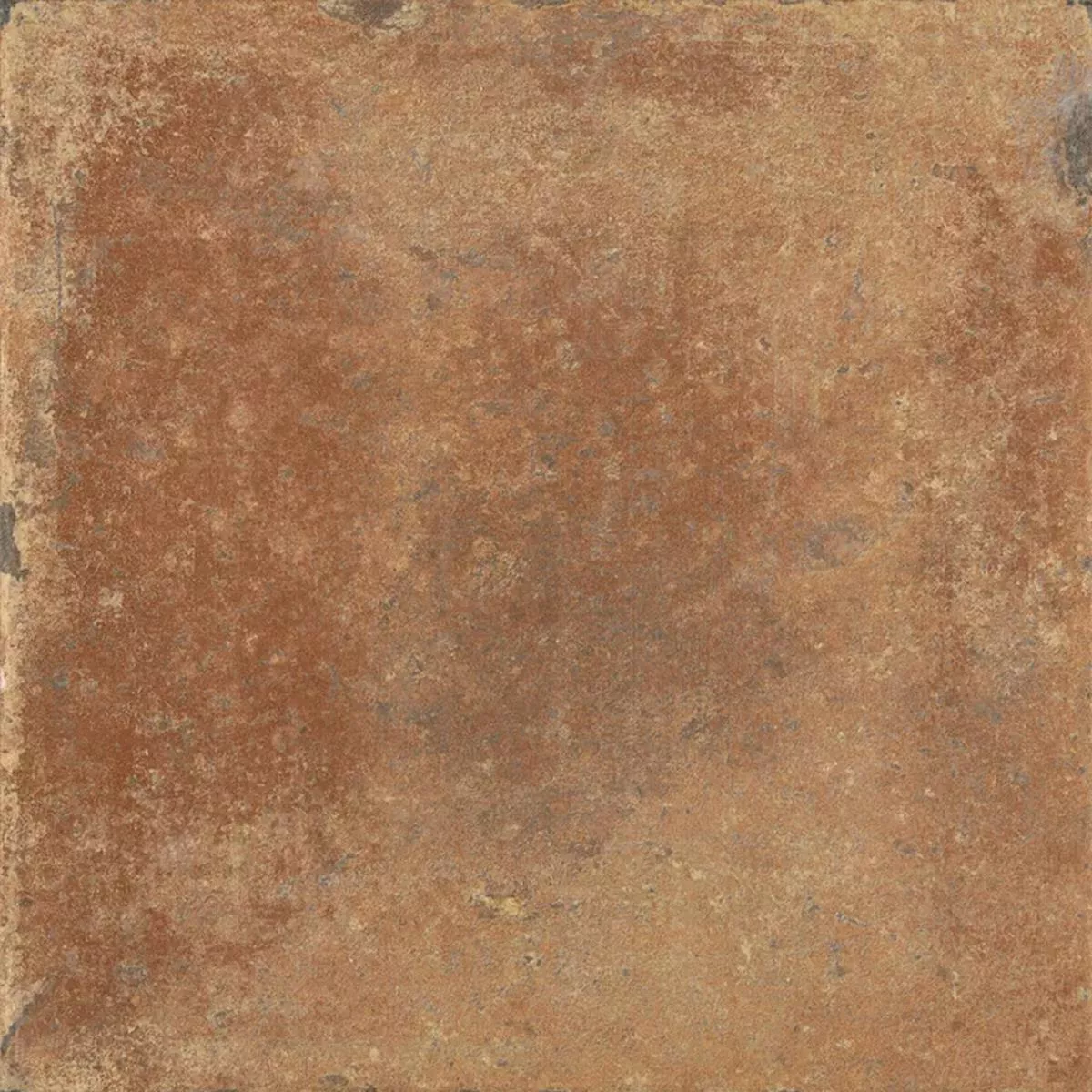 Queens Terakota Tamnosmeđa 25x25 cm